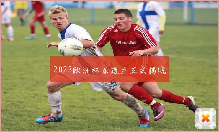 2023欧洲杯东道主正式揭晓