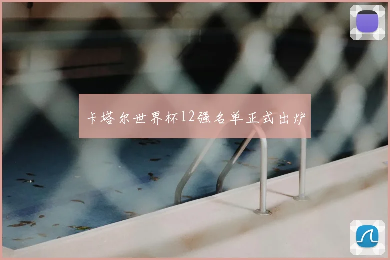卡塔尔世界杯12强名单正式出炉