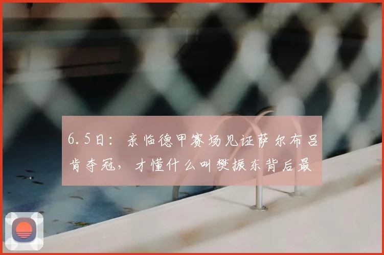 6.5日:亲临德甲赛场见证萨尔布吕肯夺冠,才懂什么叫樊振东背后最硬核的娘家人后援团_上海体育局_中国_支持