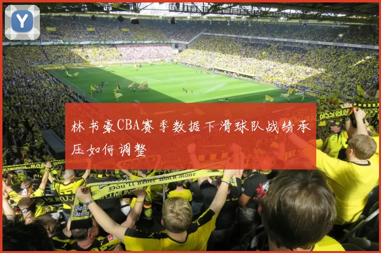 林书豪CBA赛季数据下滑球队战绩承压如何调整