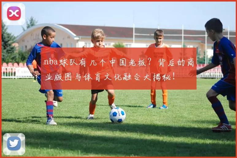 nba球队有几个中国老板?背后的商业版图与体育文化融合大揭秘!