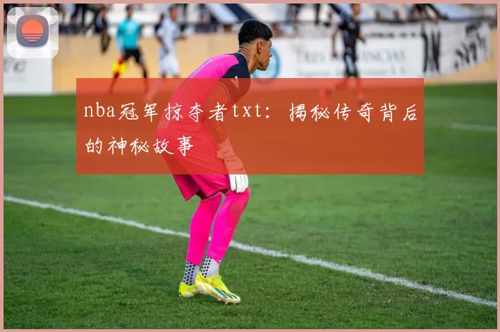 nba冠军掠夺者txt:揭秘传奇背后的神秘故事